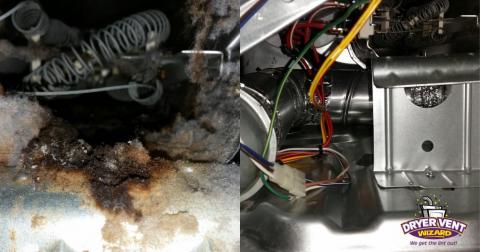 Before and after burnt lint removal inside clothes dryer