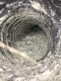 Dryer Vent With Lint Build Up