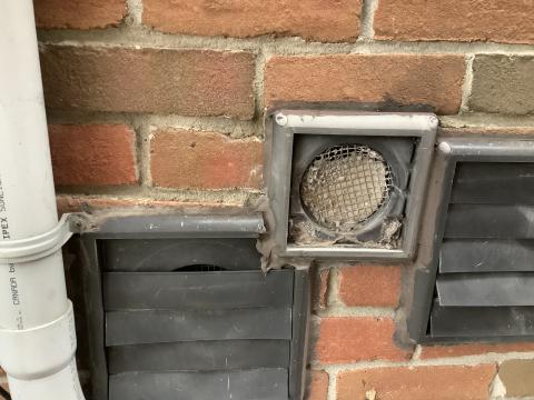 Dryer Vent Not Vented Properly Because of Screen On Dryer Vent Cover in Toronto